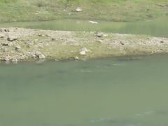 -小芝红树林