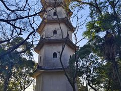 -江心屿景区