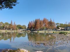 -宁波儿童公园(鄞州区)