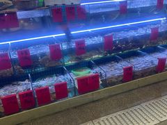 -洲晓鲜·舟山海鲜大排档(朱家尖风景区店)