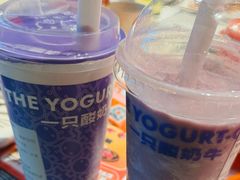 -一只酸奶牛(八一路店)