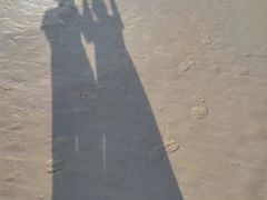 -亚龙湾海底世界
