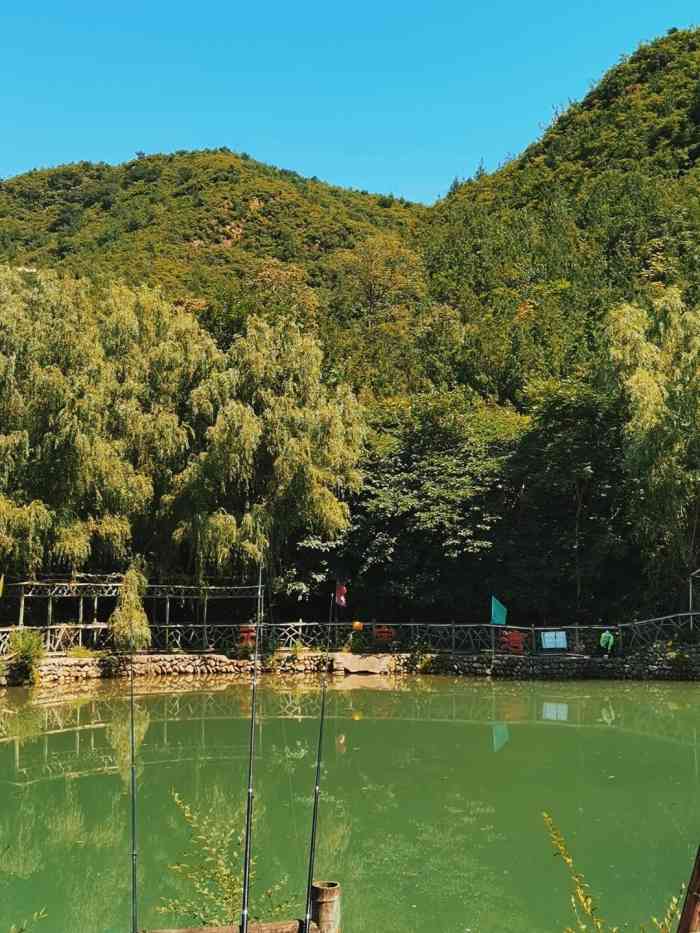 双新垂钓园-"来过很多次了 门口有免费的停车空地 进门.