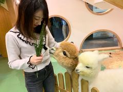 -藦茜花园宠物主题亲子互动体验馆(国顺东路店)