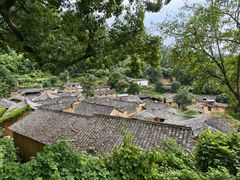 -杨家堂村
