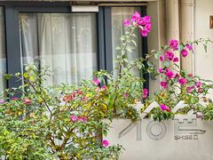 -杭州西湖风景名胜区-满觉陇四眼井