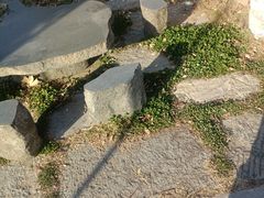 -观唐（国际）度假村温泉