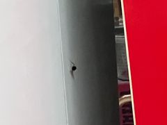 -三兴涮羊肉(荣安大街店)