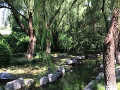 -百脉泉景区