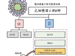 -上海交通大学医学院附属瑞金医院(总院)