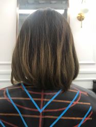 短发-MYCOLORHARSALON