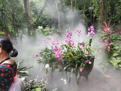 -呀诺达热带雨林
