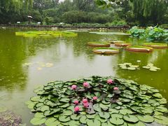 -国家植物园南园