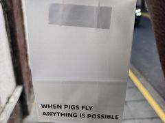 -WHEN PIGS FLY当猪飞