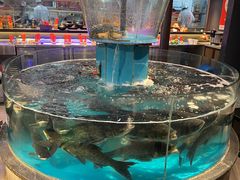 -魏铭鱼头捞饭(晋阳路店)