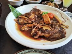 碟鱼头-红叶日本料理(三八广场店)
