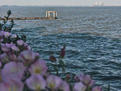 -贡湖湾湿地公园