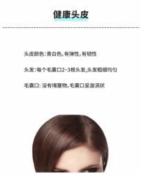 -Bollins波林丝•专研护发中心