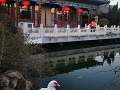 -有喜胶东小馆(太申祥和店)