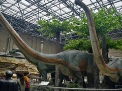 -国家自然博物馆