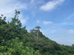 -青礁慈济宫