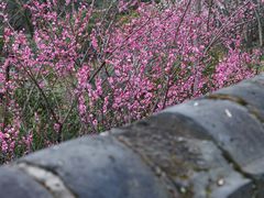 -台州府城(江南长城)