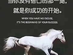 -精英英语(望京中心)