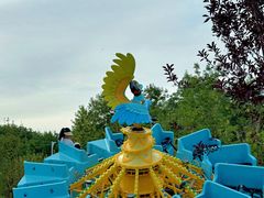 -水上乐园·欢乐世界