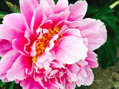 -长春公园(普阳街道)