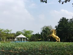 -广东花都香草世界旅游度假区