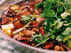 醉牛肉-无味饭店(九眼桥商业文化广场店)