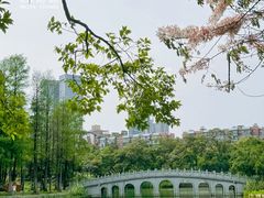 -四海公园(南山区)