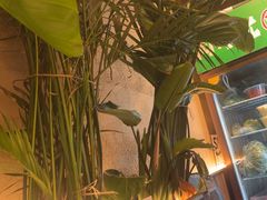 -云阿蛮云南生烫牛肉米线(奉贤路店)