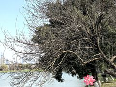 -汉水公园