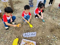 -贝乐多幼儿园(中北校区)