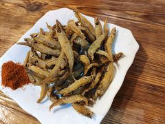 -马帮菜馆·美味野生菌