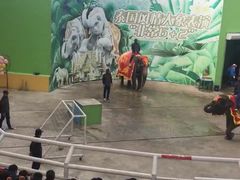 -大连森林动物园