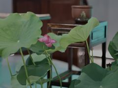 -翁暖茶馆(滨江东总店)