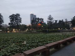 -四川大学(望江校区)