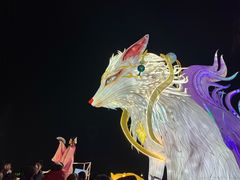 -淄博花灯齐彩城