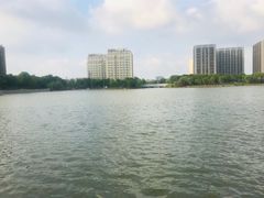 -南翔镇银翔湖公园