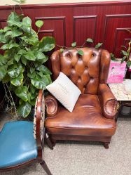 -南京医科大学友谊整形外科医院