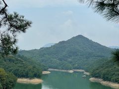 -黄山太平湖风景区
