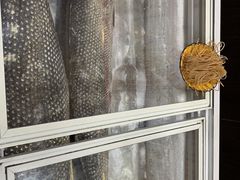 -老东北三江野生大鱼坊(登封店)