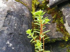 -丽江花间堂·隐泉院