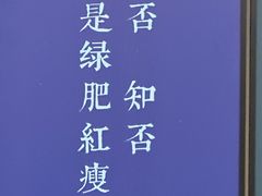 -百脉泉景区