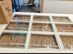-% Arabica阿拉比卡咖啡烘焙工坊
