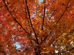 -辽宁大学(崇山校区)