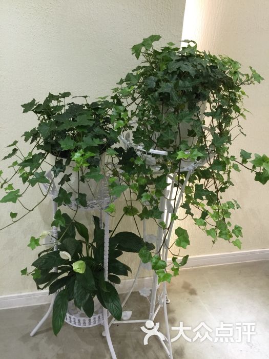 乐纯的伙伴们图片 - 第1张