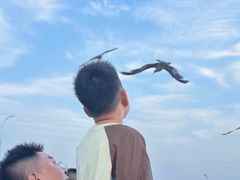 -星海广场